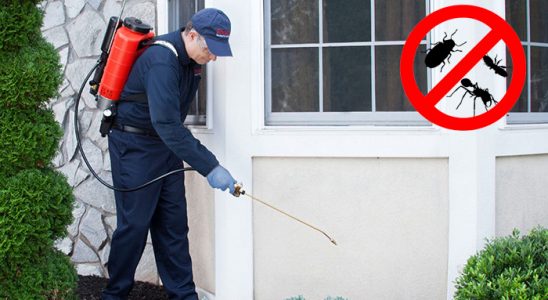 Güzelyurt Böcek İlaçlama böcek ilaçlama ve haşere kontrolü — ilaclama-tr.com